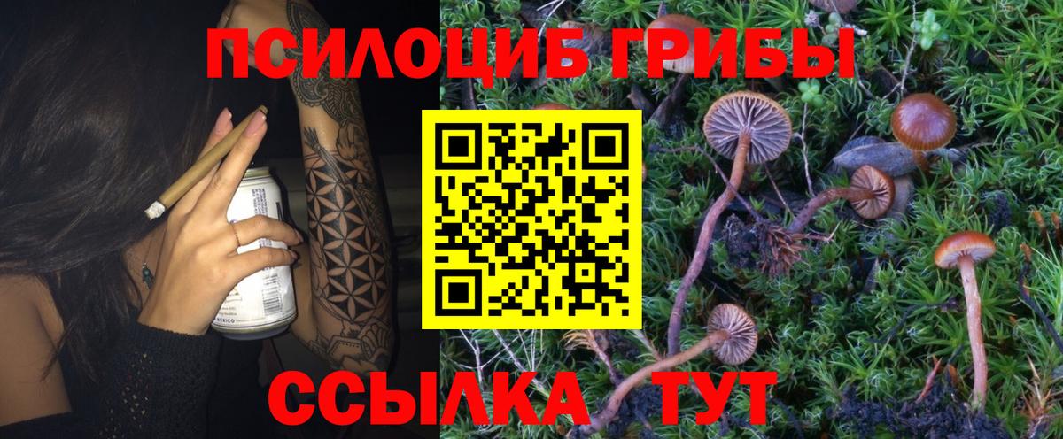 Галлюциногенные грибы Magic Shrooms Тельмана
