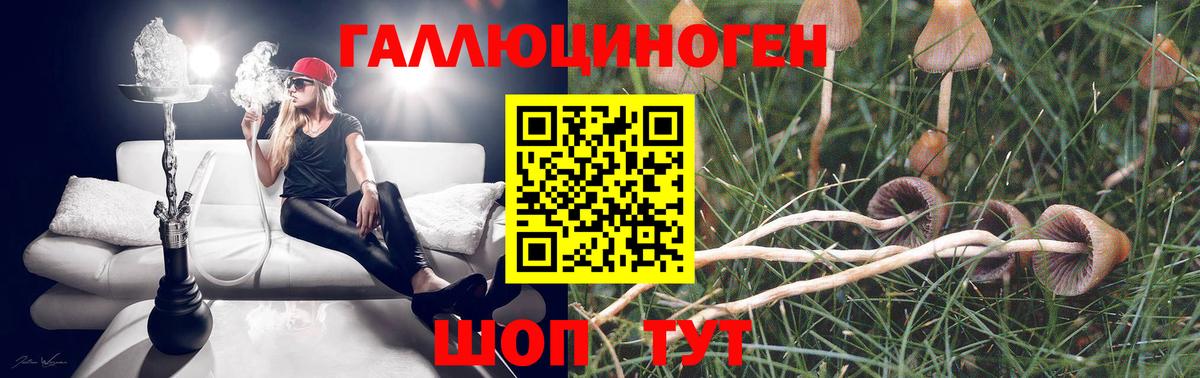 Тельмана  Псилоцибиновые грибы Cubensis  Вход с VPN 